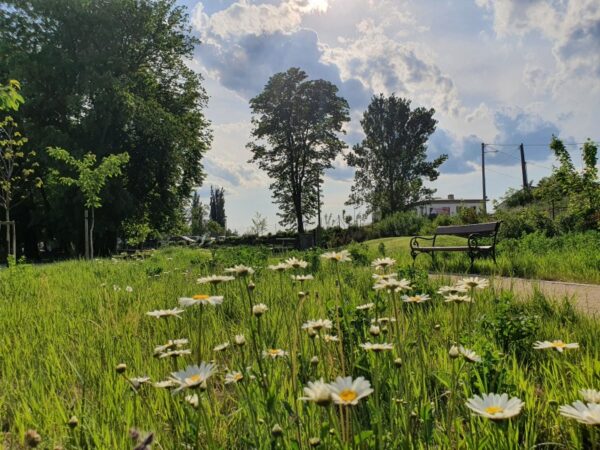 Zahrada Panowských Ivančice